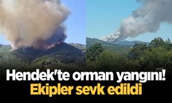 Hendek'te orman yangını! Ekipler sevk edildi