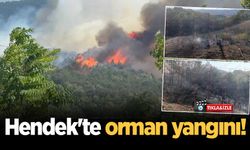 Hendek Hacimbey'de orman yangını!