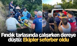 Fındık tarlasında çalışırken dereye düştü: Ekipler seferber oldu