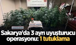 Sakarya'da 3 ayrı uyuşturucu operasyonu: 1 tutuklama