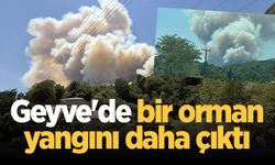 Geyve'de bir orman yangını daha çıktı