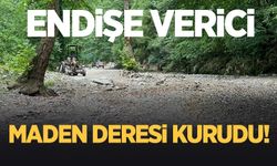 Endişe verici gelişme; Maden Deresi kurudu!