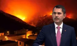 Bakan Kurum, orman yangınlarının bilançosunu açıkladı