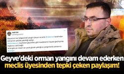 Geyve'deki orman yangını devam ederken meclis üyesinden tepki çeken paylaşım!