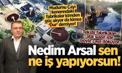 Mudurnu Çayı kenarındaki fabrikalar kimden güç alıyor da kimse ‘Dur’ demiyor! Nedim Arsal sen ne iş yapıyorsun!