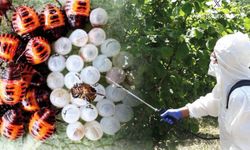 Akyazı İlçe Tarım Müdürlüğünden çiftçilere uyarı geldi