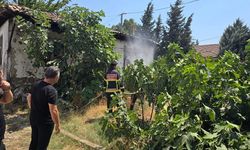 Geyve'de otluk alanda yangın çıktı