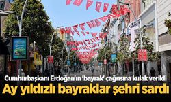 Cumhurbaşkanı Erdoğan'ın 'bayrak' çağrısına kulak verildi: Ay yıldızlı bayraklar şehri sardı