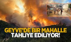 Geyve'de orman yangını: Bir mahalle tahliye ediliyor