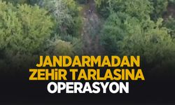 Jandarmadan kenevir operasyonu