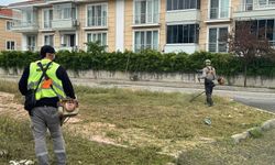 Serdivan’da estetik ve temiz sokaklar için yoğun mesai