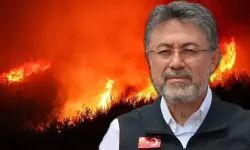 Bakan Yumaklı, Çanakkale'deki yangında son durumu paylaştı