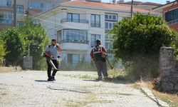 Serdivan’da çevre düzenleme çalışmaları aralıksız sürüyor
