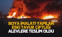 Boya imal edilen tavuk kümesleri alev alev yandı