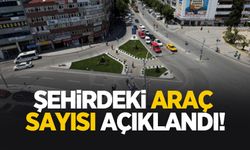 Sakarya'daki araç sayısında son durum