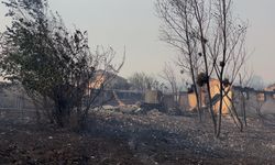 Orman yangının enerjisi 22.5 saat sonra düştü