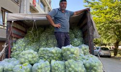 5 ton dolma biberi ücretsiz dağıttı