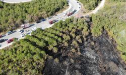 Umuttepe'de orman yangını