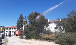 Bolu'da kopan elektrik telleri yangın çıkarttı