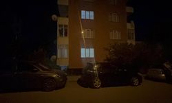 Karısını öldürüp, kendini vurdu