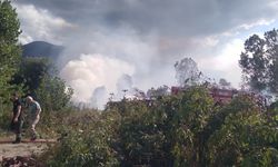 Sazlık alanda yangın