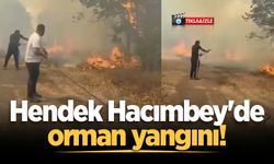Hendek'te orman yangını! Vatandaş seferber oldu
