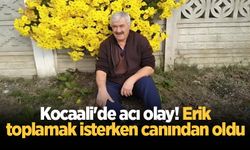 Erik toplamak için çıktığı ağaçtan düşen yaşlı adam hayatını kaybetti