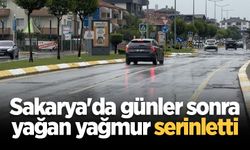 Sakarya'da günler sonra yağan yağmur serinletti