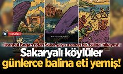 İstanbul Boğazı'ndan Sakarya'ya uzanan bir 'balina' hikayesi! Sakaryalı köylüler günlerce balina eti yemiş!