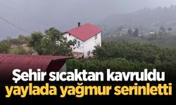 Şehir sıcaktan kavruldu, yaylada yağmur serinletti