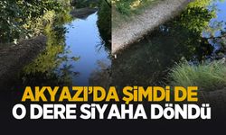 Akyazı'da yeni çevre katliamı; O dere siyaha döndü!