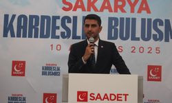 Başkan Çelik: "Sapanca Gölü sistemik çöküşle karşı karşıya"