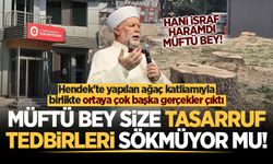 Hendek'te yapılan ağaç katliamıyla birlikte ortaya çok başka gerçekler çıktı