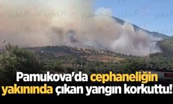 Pamukova'da cephaneliğin yakınında çıkan yangın korkuttu!