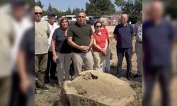 CHP'den Hendek'teki ağaç katliamına tepki