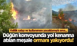 Geyve'de düğün konvoyunda yol kenarına atılan meşale ormanı yakıyordu!
