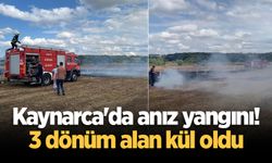 Kaynarca'da anız yangını! 3 dönüm alan kül oldu