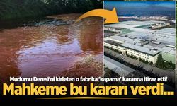 Mudurnu Deresi'ni kirleten o fabrika 'kapama' kararına itiraz etti! Mahkeme bu kararı verdi...