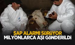 Şap Enstitüsü, 12 milyon 450 bin doz aşıyı sahaya sevk etti