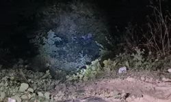 Frenleri boşalan minibüs uçuruma yuvarlandı: 1 yaralı
