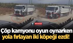 Çöp kamyonu oyun oynarken yola fırlayan iki köpeği ezdi!