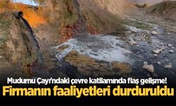 Mudurnu Çayı'ndaki çevre katliamında flaş gelişme! Firmanın faaliyetleri durduruldu