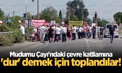 Mudurnu Çayı'ndaki çevre katliamına 'dur' demek için toplandılar!