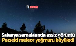 Sakarya semalarında eşsiz görüntü: Perseid meteor yağmuru büyüledi