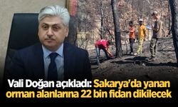 Vali Doğan açıkladı: Sakarya'da yanan orman alanlarına 22 bin fidan dikilecek