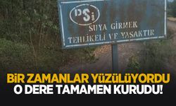 Bir zamanlar yüzülen dere kurudu