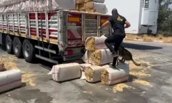 Sakarya dahil 73 ilde uyuşturucu operasyonlarında bin 695 şüpheli yakalandı