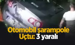 Otomobil şarampole uçtu