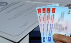 Sahte diploma ve ehliyetlerle ilgili 197 şüpheli yakalandı, 37’si tutuklandı