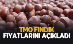 TMO fındık alım fiyatını açıkladı